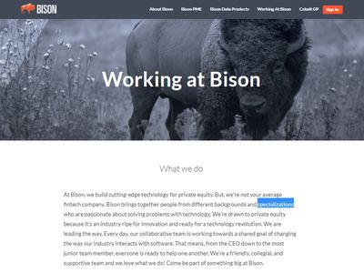 Bison image