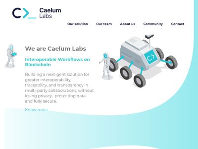 Caelum Labs image