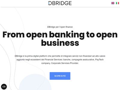 DBridge image