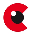 4CRisk.ai logo