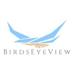 BirdsEyeView logo