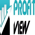 Profits View logo