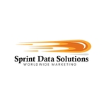 Sprint Data Solutions logo