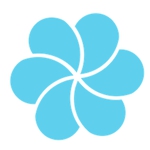 Blossom Finance logo