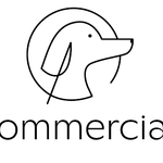 FidoCommercialista logo