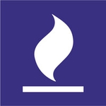 Wildfire Systems logo