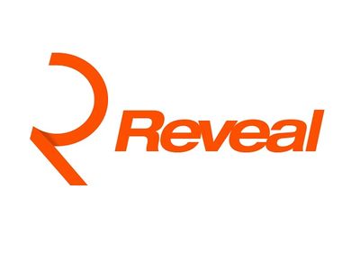 Reveal Marketing Group image