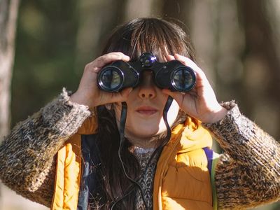 Understanding the Discovery Phase in software development: Part 1 image