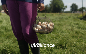 Diversificare gli investimenti con il crowdfunding immobiliare