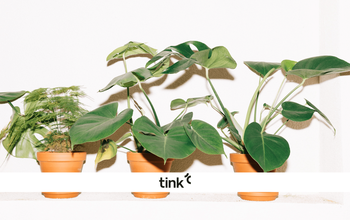 Sostenibilità l’open banking come parte della soluzione