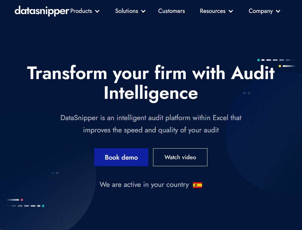 DataSnipper: Transform Your Firm With Audit Intelligence.