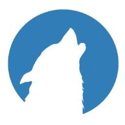 logo-wolfway.jpg